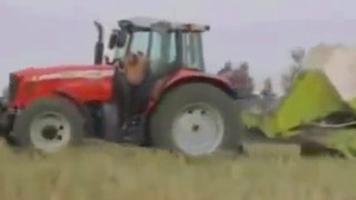 Granjerito loco encuerado dentro de una cosechadora