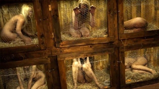 La conejera maldita. Conejas encerradas obligadas a mamar verga