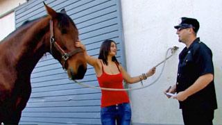 Oficial, es mi caballo y me lo llevo a todos lados. Sandra Milka